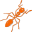 web
