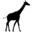 web