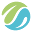 web