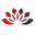web