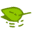 web