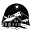 web