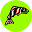 web