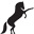 web