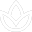 web