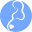 web