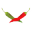 web