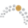 web