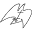 web