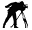 web