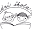 web