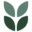 web