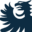 web