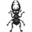 web