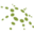 web