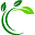 web