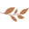 web