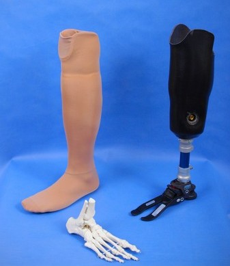 Protézy dolních končetin
