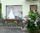 SALON JANA A BELLADONA