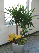 Interiéry