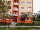MARCINEKOVÁ HANA