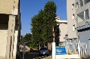 DZ AUTOSERVIS