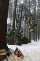 Lesní těžba - harvestor a JMP