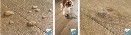 Společnost Quick-Step laminátové podlahy
