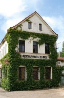 RESTAURACE U SLUNCE ČESKÁ KAMENICE