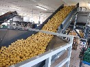 Technický dozor rekonstrukce skladu s třídičkou brambor