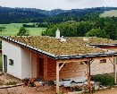 Realizace zelených střech