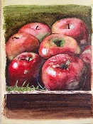 Jablka, akvarel, A3, 2021