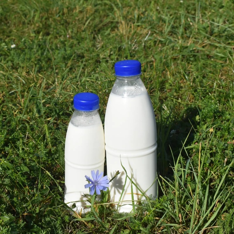 Čerstvé mléko z farmy