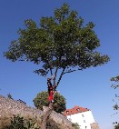 Sídlo společnosti Sídlo společnosti