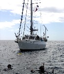 Sídlo společnosti Sídlo společnosti