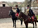 Husarští vojáci na koních