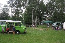 VW BUS VW BUS