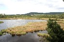 Chalupská slať a Svinná Lada Chalupská slať a Svinná Lada