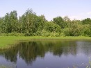 Rybník Zeman - přírodní památka