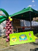 Hawai párty léto Hawai párty léto