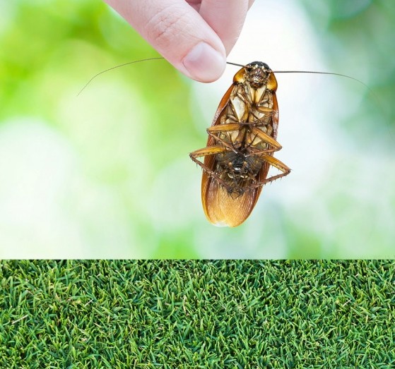 Aktivní látky pro výrobu insekticidních prostředků a repelentů