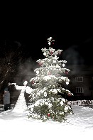 Rozsvěcování vánočního stromu Rozsvěcování vánočního stromu