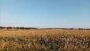 Rostlinná výroba