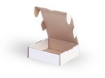Papírová krabice jednodílná