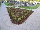 Hřbitov Městečko Trnávka