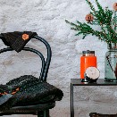 Volčasové oblečení a doplňky Xplorer, fleecová bunda, vlněná čepice a kvalitní termonádoba