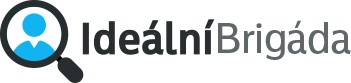 IDEÁLNÍ BRIGÁDA 
