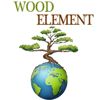 WOOD ELEMENT dřevostavby s.r.o.