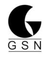 GSN a.s.