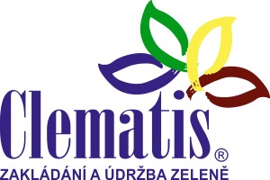 CLEMATIS 